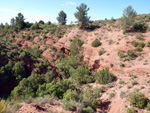   Barranco de la  Terzaga. Camporrobles. Valencia