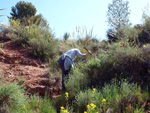   Barranco de la  Terzaga. Camporrobles. Valencia