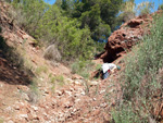   Barranco de la  Terzaga. Camporrobles. Valencia