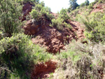   Barranco de la  Terzaga. Camporrobles. Valencia