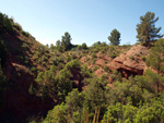   Barranco de la  Terzaga. Camporrobles. Valencia