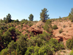   Barranco de la  Terzaga. Camporrobles. Valencia