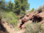   Barranco de la  Terzaga. Camporrobles. Valencia