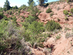   Barranco de la  Terzaga. Camporrobles. Valencia