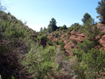   Barranco de la  Terzaga. Camporrobles. Valencia