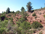   Barranco de la  Terzaga. Camporrobles. Valencia