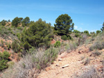   Barranco de la  Terzaga. Camporrobles. Valencia