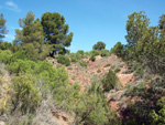   Barranco de la  Terzaga. Camporrobles. Valencia