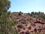   Barranco de la  Terzaga. Camporrobles. Valencia