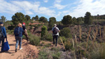   Barranco de la  Terzaga. Camporrobles. Valencia