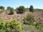    Barranco de la  Terzaga. Camporrobles. Valencia