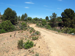     Barranco de la  Terzaga. Camporrobles. Valencia