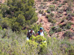     Barranco de la  Terzaga. Camporrobles. Valencia