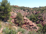     Barranco de la  Terzaga. Camporrobles. Valencia