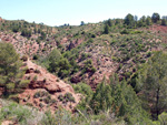     Barranco de la  Terzaga. Camporrobles. Valencia