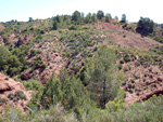     Barranco de la  Terzaga. Camporrobles. Valencia