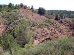     Barranco de la  Terzaga. Camporrobles. Valencia