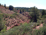     Barranco de la  Terzaga. Camporrobles. Valencia