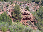   Barranco de la  Terzaga. Camporrobles. Valencia