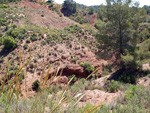  Barranco de la  Terzaga. Camporrobles. Valencia