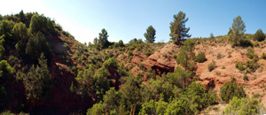 Barranco de la  Terzaga. Camporrobles. Valencia