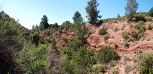 Barranco de la  Terzaga. Camporrobles. Valencia