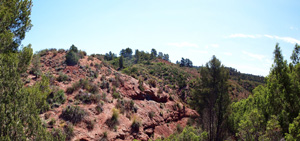 Barranco de la  Terzaga. Camporrobles. Valencia