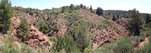 Barranco de la  Terzaga. Camporrobles. Valencia