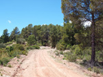 Afloramientos de Aragonito. La Pesquera/Enguidanos. Cuenca