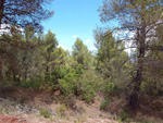 Afloramientos de Aragonito. La Pesquera/Enguidanos. Cuenca