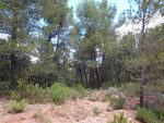  Afloramientos de Aragonito. La Pesquera/Enguidanos. Cuenca