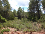  Afloramientos de Aragonito. La Pesquera/Enguidanos. Cuenca