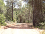 Afloramientos de Aragonito. La Pesquera/Enguidanos. Cuenca