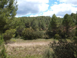 Afloramientos de Aragonito. La Pesquera/Enguidanos. Cuenca