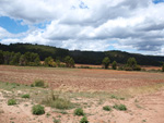 Afloramientos de Aragonito. La Pesquera/Enguidanos. Cuenca