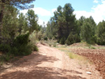 Afloramientos de Aragonito. La Pesquera/Enguidanos. Cuenca