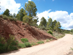 Afloramientos de Aragonito. La Pesquera/Enguidanos. Cuenca