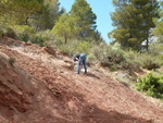  Afloramientos de Aragonito. La Pesquera/Enguidanos. Cuenca