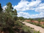 Afloramientos de Aragonito. La Pesquera/Enguidanos. Cuenca