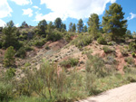  Afloramientos de Aragonito. La Pesquera/Enguidanos. Cuenca