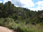  Afloramientos de Aragonito. La Pesquera/Enguidanos. Cuenca