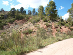  Afloramientos de Aragonito. La Pesquera/Enguidanos. Cuenca