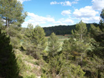  Afloramientos de Aragonito. La Pesquera/Enguidanos. Cuenca