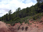 Afloramientos de Aragonito. La Pesquera/Enguidanos. Cuenca