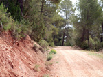 Afloramientos de Aragonito. La Pesquera/Enguidanos. Cuenca