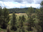 Afloramientos de Aragonito. La Pesquera/Enguidanos. Cuenca 