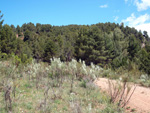 Afloramientos de Aragonito. La Pesquera/Enguidanos. Cuenca