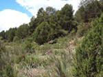 Afloramientos de Aragonito. La Pesquera/Enguidanos. Cuenca