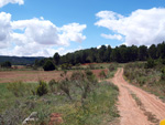   Afloramientos de Aragonito. La Pesquera/Enguidanos. Cuenca