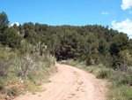   Afloramientos de Aragonito. La Pesquera/Enguidanos. Cuenca